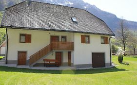 Apartma Ana